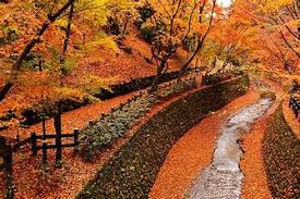 もみぢ葉の 流れてとまる 水門には 紅深き 波や立つらむ 名歌鑑賞