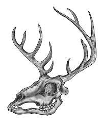 Some artists draw simple designs of stripes, dots, or corresponding lines, while others paint entire landscapes on to their skulls. Drawings Of Deer Skulls Free Download Clip Art Free Clip Art Deer Skull Drawing Animal Skull Drawing Skull Art Drawing