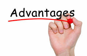 Advantages – Blackbox Software Solutions