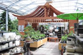Eine große auswahl zimmerbonsai und zubehör finden sie online bei obi und in ihrem obi markt! Bonsaicenter Das Grosste Bonsai Sortiment Der Schweiz Gartencenter Zulauf Pflanzen Kaufen