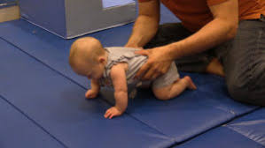 Learn how to housebreak your dog in 6 days for free. You Can Encourage Your Baby To Crawl Track Baby Milestones
