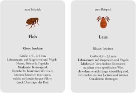 Parasiten können mikroskopisch klein, 10 meter lang oder länger werden. Parasitenbefall Beim Hund