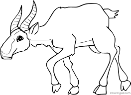 The antelope coloring pages also available in pdf file that you can download for free. Walking Saiga Antelope Coloring Page Coloringall