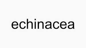 Promoters of echinacea believe that the supplement boosts the immune system and can reduce symptoms of infections and other illnesses, including the. How To Pronounce Echinacea Youtube