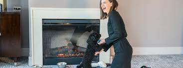 Compare dog & cat friendly hotels w/ our price match guarantee! Pet Friendly Hotels Trump Pets Luxury Dog Friendly Hotels