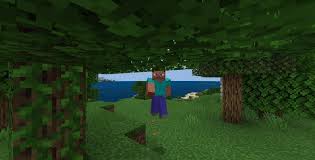I hope in the future mojang will add more different movements in their updates, Better Player Animations Addon For Mcpe 1 16 100