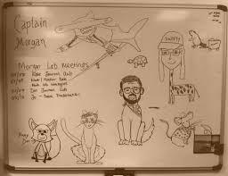 +44 (0)151 794 2000 student enquiries: People Morgan Lab