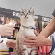 We know that emergencies don't always happen during normal working hours. Low Cost Mobile Pet Vaccination Clinics Animal Hospitals And Pet Meds Vetco At Petco