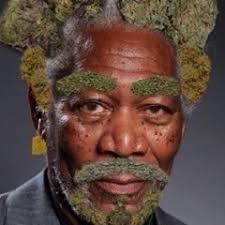 Listen to Grid Division & SugarBeats