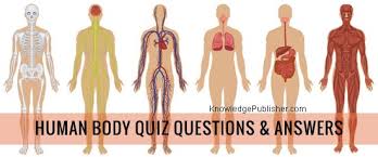 Our list of 16 unusual facts about the human body will both shock and enlighten. Human Body Quiz Questions With Answers