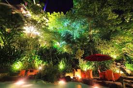 Consider blazing tiki torches, potted orchids, and twinkling lights. The Tropical Garden Lighting Picture Of Open House Balikpapan Tripadvisor