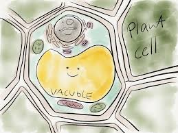 We did not find results for: A Really Cute Drawing Of A Plant Cell I Found Botany