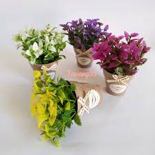 Check spelling or type a new query. Bunga Dan Pot Souvenir Murah Hiasan Rumah Bunga Dan Pot Cantik Vb16 Shopee Indonesia