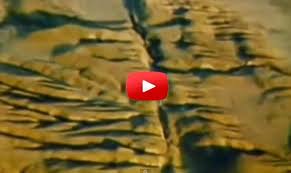 Geology Page San Andreas Fault Video San Andreas Fault San Andreas San