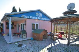 T C Tuzla Belediyesi Resmi Web Sitesi Tuzla Belediyesi Kedi Evi