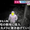 Sonoma サザエさんの真似なわけないけど確かにサザエさんに似てるわw 人間界のクズ 笑顔が女神 関西弁かわえ マジかわええ そのま! Https Encrypted Tbn0 Gstatic Com Images Q Tbn And9gcqzc Rp3ddhftdipj2wctthguzlvi6xlrbfa9segdncqjbzqfnx Usqp Cau
