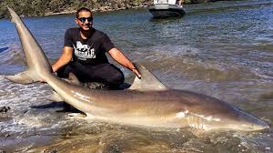 Tiger leaping gorge is one of the deepest gorges on the planet, and it has the best hiking trail in the lijiang area. Video Massive Bull Shark Caught In Georges River