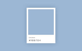 Cerulean blue is a popular choice for watercolor palettes, including my own. Top Design Colors For 2021 Picmonkey Blog