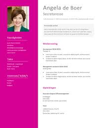 Cv Voorbeeld Voor Secretaresse Gratis Download