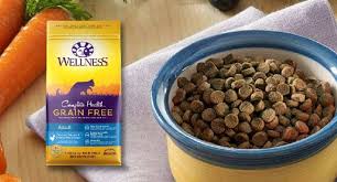 We also routinely update and review our own. Wellness Cat Food Reviews 2021
