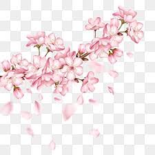 A Cherry Tree Branch With Pink Cherry Blossoms And Falling Petals Cherry Blossom Clipart Cherry Blossoms Sakura Petals Png Transparent Clipart Image And Psd In 2021 Cherry Blossom Branch Cherry