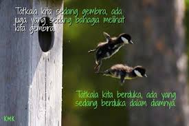 Check spelling or type a new query. Tatkala Kita Sedang Gembira Ada Juga Yang Sedang Bahagia Melihat Kita Gembira Dalam Hatinya Bersyukur Kerana Dimakbulkan Doanya Agar I Can Belive Funny Cute