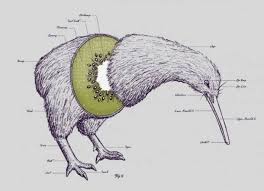 We did not find results for: 20 Facts About The Adorably Odd Kiwi Bird