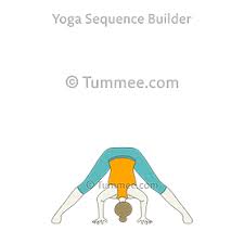 Prasarita Padottanasana Wide Legged Forward Bend Pose Contraindications Tummee Com