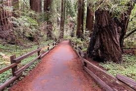 Point reyes also has some fantastic picnic spots and if you hike down the beaches a ways, you can find seclusion. Top Day Trips In The Bay Area Explore The Best Backroads Beaches And Towns Kimkim