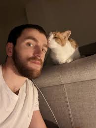 Does anyone recognise this cat? It's been outside birchwood McDonald's for  hours. Not sure if it's lost or a stray. But hours later when I left it was  still there and ran