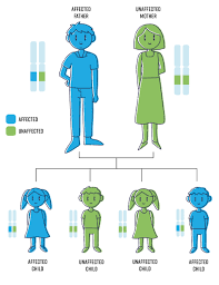 Causes Of Neurofibromatosis Children S Tumour Foundation Of Australia