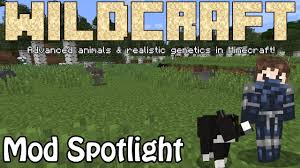 We did not find results for: Wildcraft Advanced Animals Genetics In Minecraft Mod Spotlight Youtube