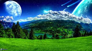 Masaustu Kediler Katvideos Komik Komik Videolar Eglendirici Funnycatsvideos Catsfunny Eglenceli Kedi Katfunny Kitty Kedi Yavrusu Yavru Kediler Sevimli 1920x1080 954887 Masaustu Arka Plan Hd Wallhere