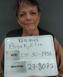 Elisa Brock's Instagram, Twitter & Facebook