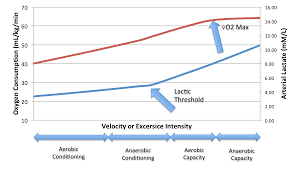 Gboson Maximal Oxygen Uptake Lactic Threshold