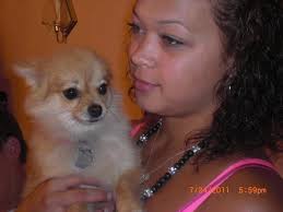 John Mino Obituary and Online Memorial (2016)