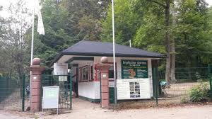 Viele exotische bäume mit teichen und weihern, die nachgebaute ruine der eberhardsburg und antike denkmäler sah man beim durchstreifen des garten's. Englischer Garten Eulbach Michelstadt 2020 All You Need To Know Before You Go With Photos Tripadvisor