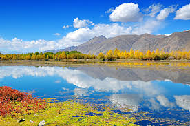 Nature Background Photos And Wallpaper For Free Download
