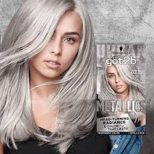 Got2b Color Metallic Silver 1 Kit Silver Hair Dye Silver Grey Hair Metallic Hair Dye