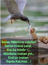Sema Karatas Adli Kullanicinin Guzel Sozler Panosundaki Pin Ozlu Sozler Guzel Soz Iman