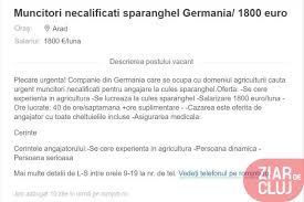 Refuzăm postarea dacă contine video si blocăm membru pe grup. SparangheliÈ™tii La Mare CÄƒutare OfertÄƒ MasivÄƒ De Joburi In AgriculturÄƒ In StrÄƒinÄƒtate In Ultima LunÄƒ Pe Site Urile De Profil Ziarul De Craiova