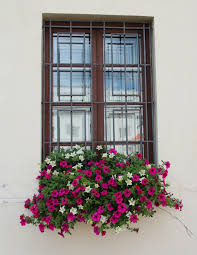 Maybe you would like to learn more about one of these? Window Box Planters How To Plant Window Boxes
