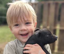 Janet Smeed Mayes, CPA