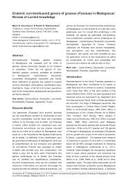 Image result for Brachychloa schiemanniana