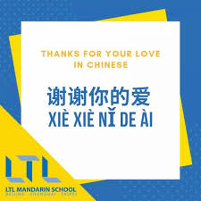 Thank You In Chinese 23 Alternate Ways To Thank In Chinese Just say thank you with one of these short thank you for your understanding in this matter messages and if you 11. thank you in chinese 23 alternate
