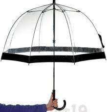 Birdcage Umbrellas Transparent Domed Canopy Umbrella Birdcage Umbrella Umbrella Transparent Raincoat