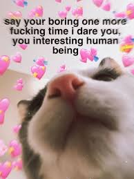 Pin By Shayleigh On Ghosty And Zack Tings In 2020 Cute Love Memes Cute Memes Funny Relatable Memes