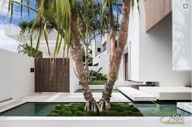 We did not find results for: Creating Street Appeal With Feature Trees Manawee Garden Centre