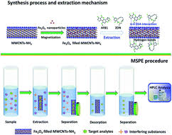 It has european commission (ec) maximum this application note describes the determination of aflatoxins m1, g2, g1, b2, and b1 in infant. Simultaneous Determination Of Aflatoxin B1 And Zearalenone By Magnetic Nanoparticle Filled Amino Modified Multi Walled Carbon Nanotubes Analytical Methods Rsc Publishing