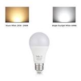 tento Lighting 12v LED Bulbs 12w Daylight White 6000k 1200lm ...